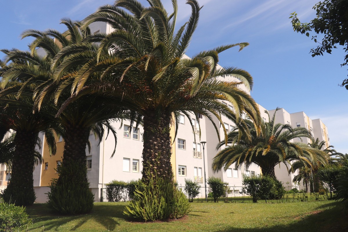 Urbanização das Condominhas