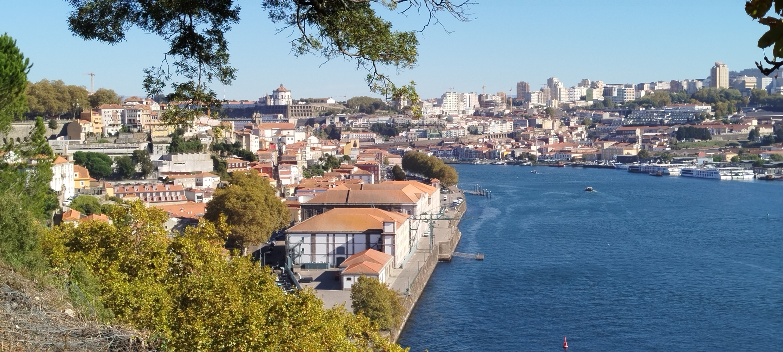 morar no Porto Portugal para brasileiros
